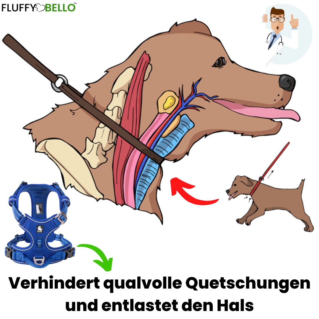 FLUFFY GESCHIRR™ inkl. FLUFFY LEINE™ - Das #1 Gesündeste Hundegeschirr