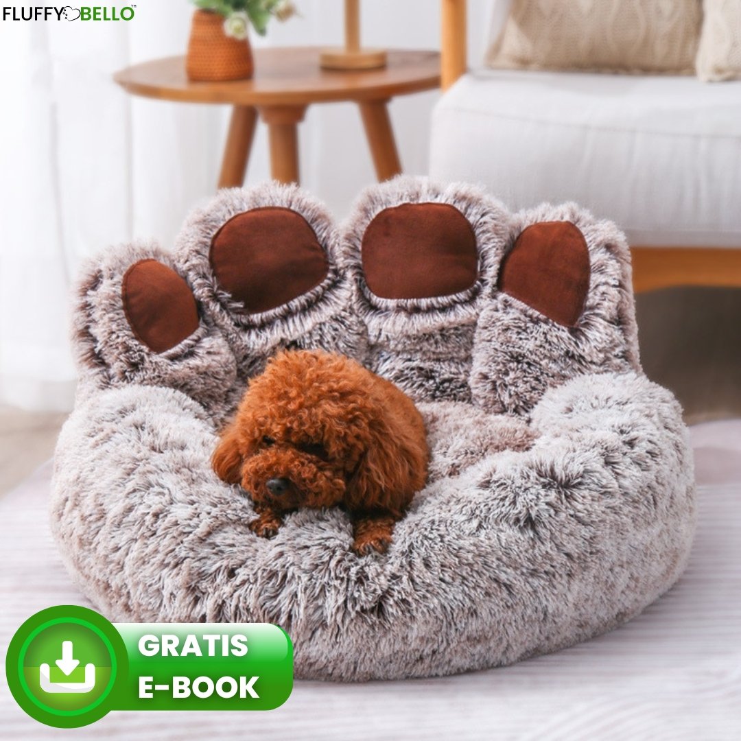 Cloudy™ - Kuscheliges Hundebett - Fluffy Bello